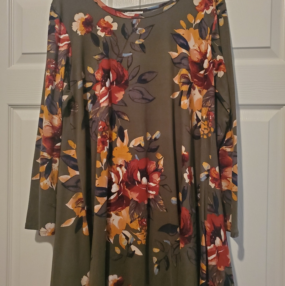 Nice Fall Dress/tunic
